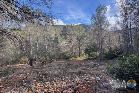 Helårsgrund i Jalon, Alicante, Jalon - € 210.000 | Ref: P-601 - foto 9